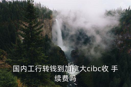 網(wǎng)銀向國外賬戶匯款手續(xù)費多少錢