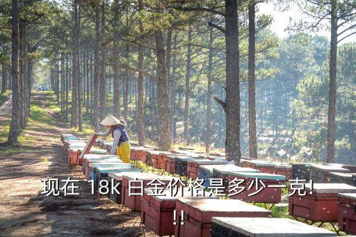 白金18k金多少錢一克,18k白金回收多少錢一克2022
