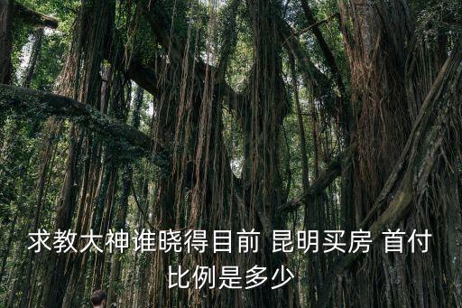 2015年昆明首套住房首付是多少