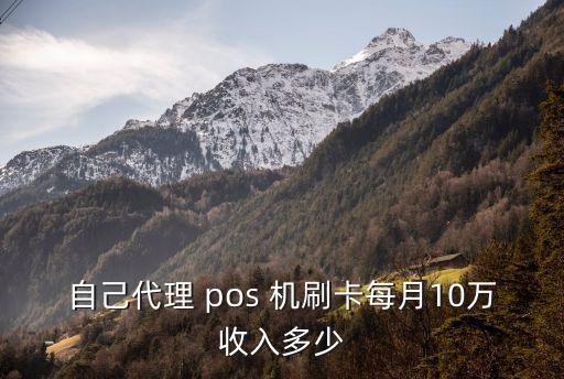 pos機刷10萬多少手續(xù)費多少錢