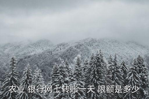農(nóng)業(yè) 銀行網(wǎng)上轉(zhuǎn)賬一天 限額是多少