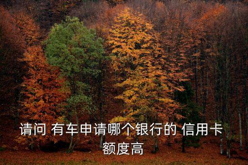 請問 有車申請哪個銀行的 信用卡 額度高