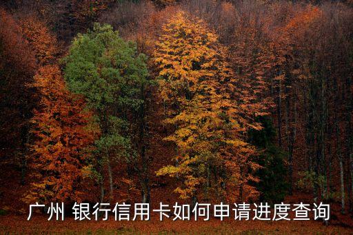  廣州 銀行信用卡如何申請進(jìn)度查詢