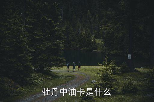 至享卡優(yōu)惠包b2多少錢