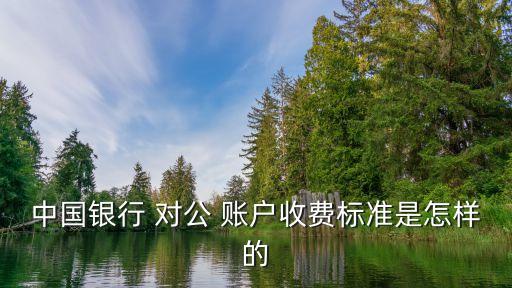 對(duì)公賬戶取款手續(xù)費(fèi)多少,國(guó)壽c賬戶存款取款有沒(méi)有手續(xù)費(fèi)