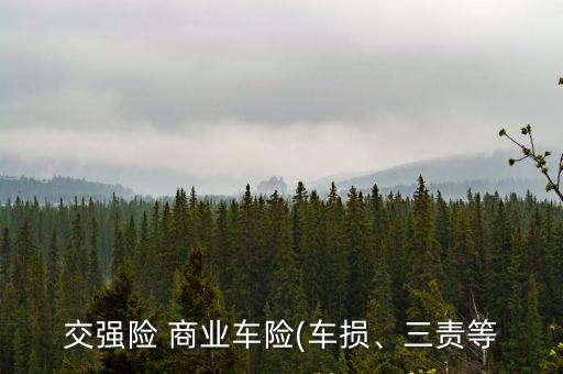 交強(qiáng)險 商業(yè)車險(車損、三責(zé)等