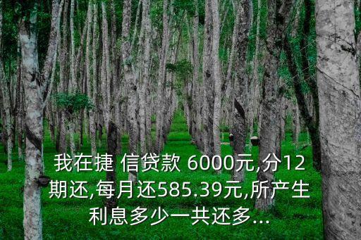 我在捷 信貸款 6000元,分12期還,每月還585.39元,所產(chǎn)生利息多少一共還多...