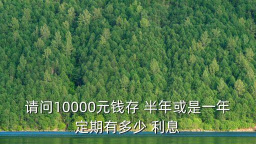 請(qǐng)問(wèn)10000元錢(qián)存 半年或是一年定期有多少 利息