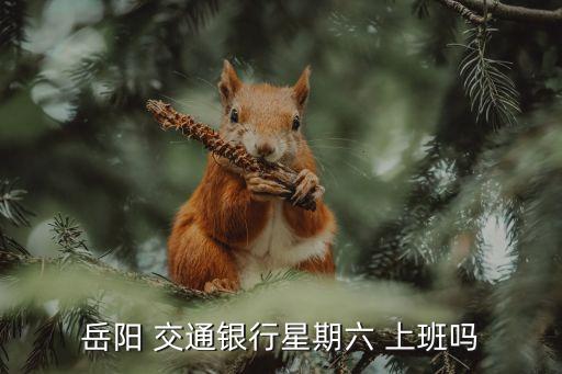 交通銀行上班時(shí)間多少