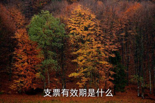  支票有效期是什么