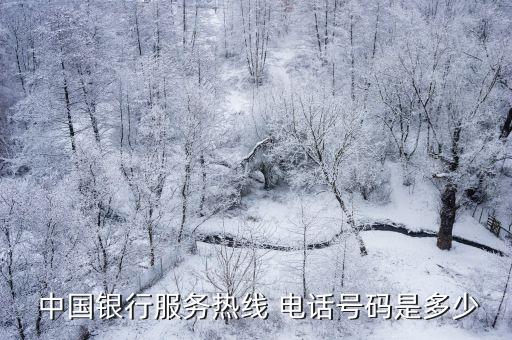 重慶中國銀行萬達(dá)支行電話號碼是多少錢,重慶龍興中國銀行電話號碼