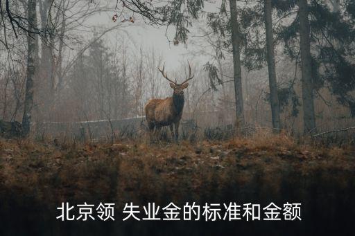  北京領(lǐng) 失業(yè)金的標(biāo)準和金額