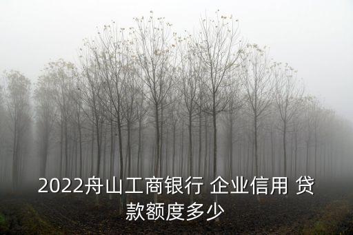 企業(yè)信譽貸款能貸多少錢,企業(yè)作為原告會影響貸款信譽嗎?