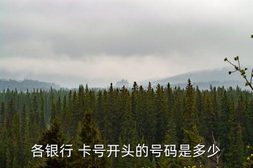 上海銀行活期卡號多少位
