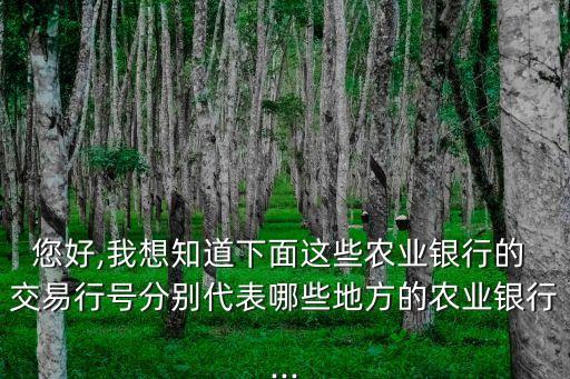 農(nóng)行卡交易代碼是多少,農(nóng)行交易渠道代碼BTCH