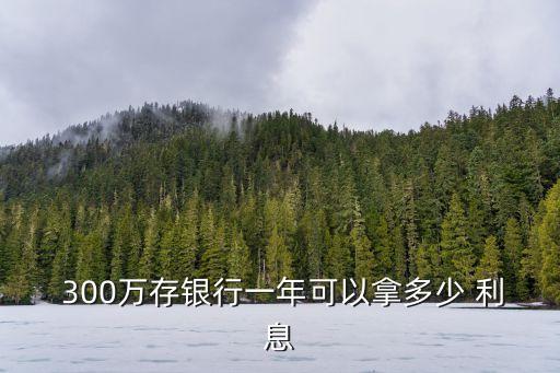  300萬存銀行一年可以拿多少 利息