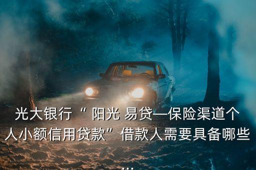 陽光易貸的加盟電話多少,陽光百分百加盟電話