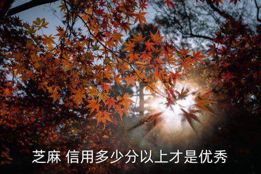 芝麻 信用多少分以上才是優(yōu)秀