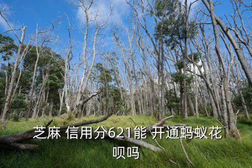  芝麻 信用分621能 開通螞蟻花唄嗎