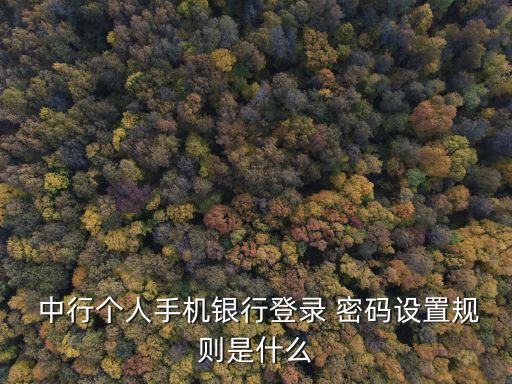 中行卡pin碼密碼是多少位