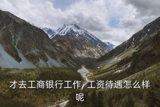 北京工行柜員工資多少,工行大堂經(jīng)理和柜員哪個工資高