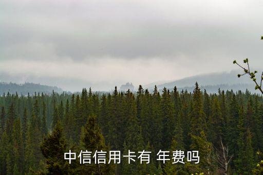 魔力普卡年費(fèi)多少,中信銀行魔力信用卡普卡年費(fèi)
