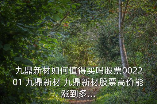 九鼎有多少合伙人,九鼎投資合伙人