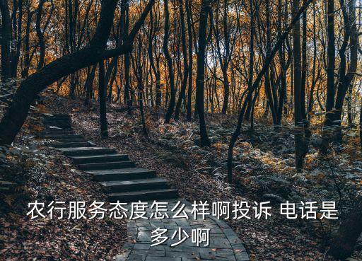  農(nóng)行服務(wù)態(tài)度怎么樣啊投訴 電話是多少啊