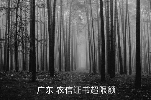 廣東農(nóng)信手機(jī)銀行轉(zhuǎn)賬金額多少,農(nóng)信手機(jī)銀行轉(zhuǎn)賬限額多少