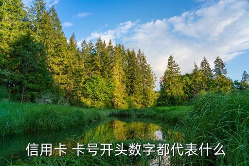  信用卡 卡號(hào)開頭數(shù)字都代表什么