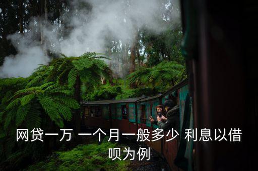 借款一個月利息是多少錢,360借款10000一個月利息多少