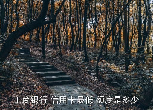 工行怎么網(wǎng)申信用卡額度是多少錢