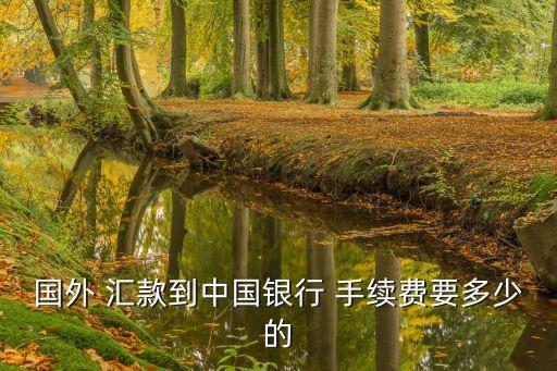 境外美金匯款手續(xù)費(fèi)是多少,工行向境外工行匯款手續(xù)費(fèi)