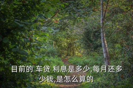 目前的 車(chē)貸 利息是多少,每月還多少錢(qián),是怎么算的