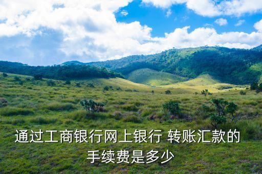 通過工商銀行網(wǎng)上銀行 轉(zhuǎn)賬匯款的 手續(xù)費(fèi)是多少