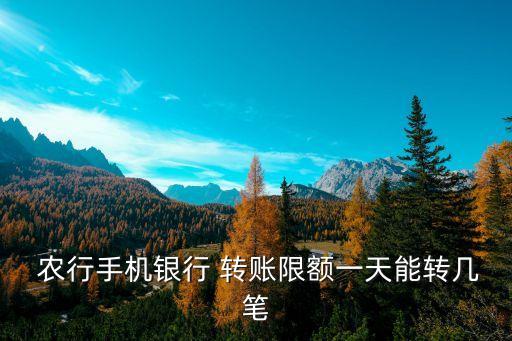  農(nóng)行手機(jī)銀行 轉(zhuǎn)賬限額一天能轉(zhuǎn)幾筆