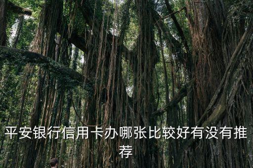 ae卡額度多少,young卡最高額度是多少