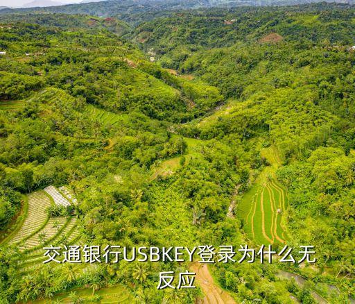  交通銀行USBKEY登錄為什么無反應(yīng)