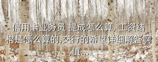 信用卡業(yè)務(wù)員 提成怎么算, 工資結(jié)構(gòu)是怎么算的,交行的希望詳細(xì)解答啊,值...