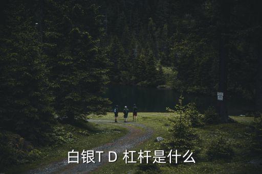 白銀T D 杠桿是什么