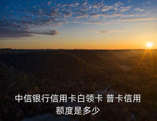 中信標(biāo)準(zhǔn)銀聯(lián)標(biāo)準(zhǔn)普卡額度多少,中信銀聯(lián)標(biāo)準(zhǔn)IC普卡年費(fèi)