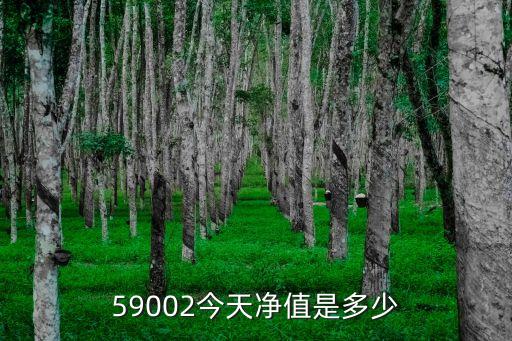 中郵基金成長2多少錢,中郵成長基金凈值查詢590002