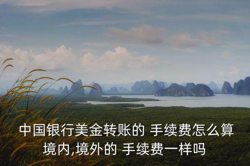  中國(guó)銀行美金轉(zhuǎn)賬的 手續(xù)費(fèi)怎么算境內(nèi),境外的 手續(xù)費(fèi)一樣嗎