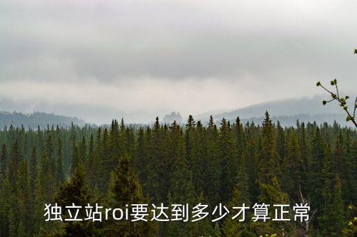 獨(dú)立站roi要達(dá)到多少才算正常
