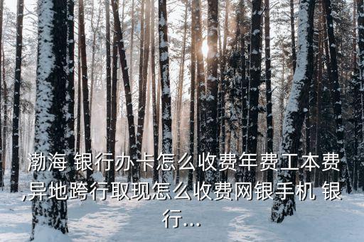  渤海 銀行辦卡怎么收費年費工本費,異地跨行取現怎么收費網銀手機 銀行...