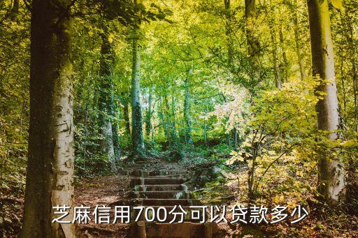 芝麻信用700分可以貸款多少