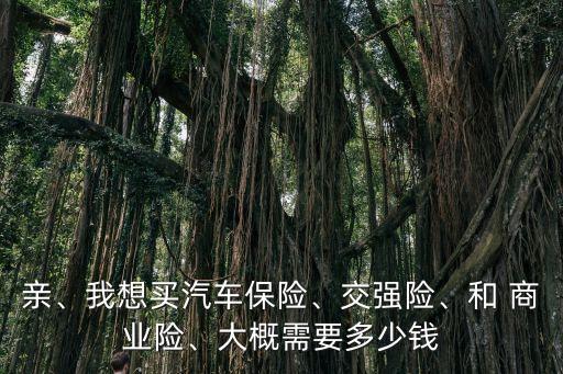 親、我想買汽車保險、交強(qiáng)險、和 商業(yè)險、大概需要多少錢