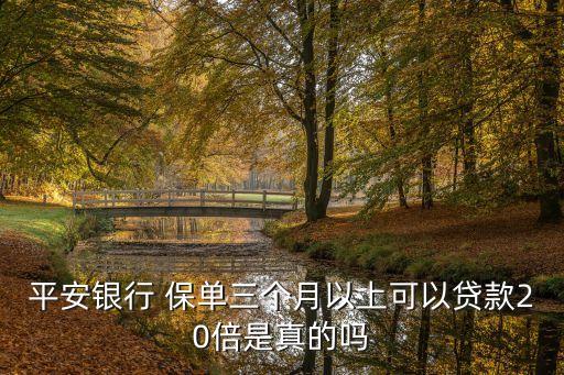 保單貸保費(fèi)的多少倍,保單放大貸能放大多少
