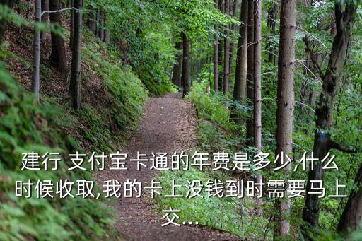 建行 支付寶卡通的年費(fèi)是多少,什么時(shí)候收取,我的卡上沒錢到時(shí)需要馬上交...