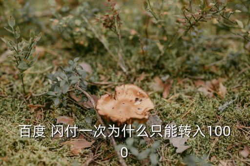 閃付一次性能支付多少錢,微信支付能一次性付10萬(wàn)嗎